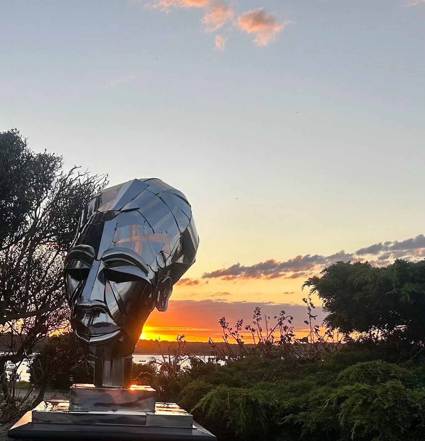 Handcrafted Stainless Steel & Copper Head Sculpture - 'Ebony'
