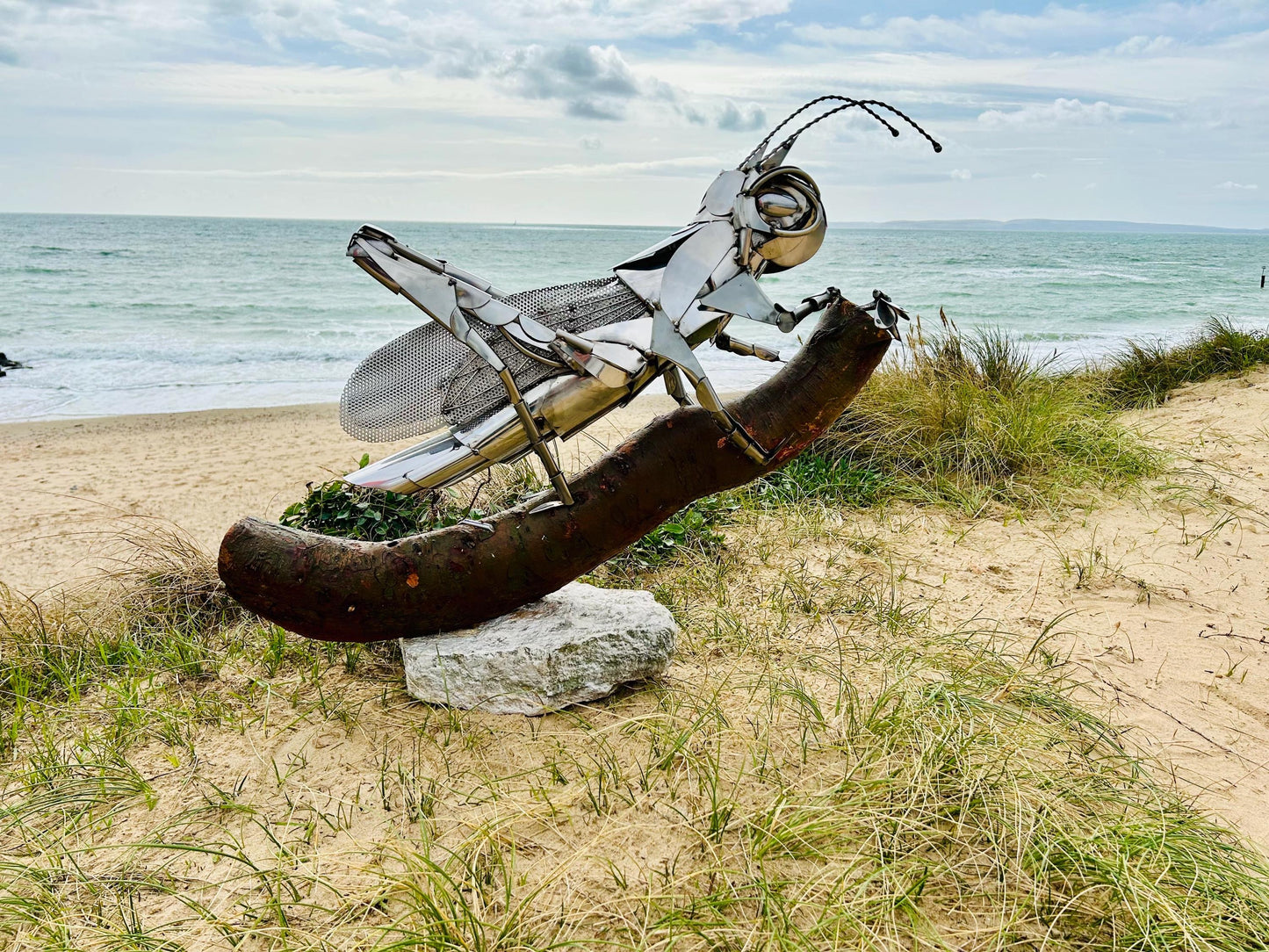 Stainless Steel Grasshopper Sculpture - Modern Garden Art