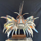 Stainless Steel and Copper Extra Large Lion Fish Sculpture With Cheeky Crab