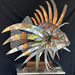 Stainless Steel and Copper Extra Large Lion Fish Sculpture With Cheeky Crab
