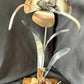 Stainless Steel Metal Flower Sculpture Personalised Gift for Indoor and Outdoor Living